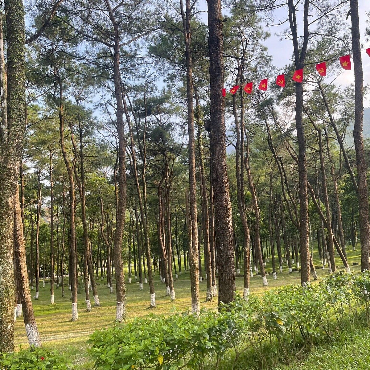 Hanoi Mountain Bike Tour Ba Vi National Park 1 Day